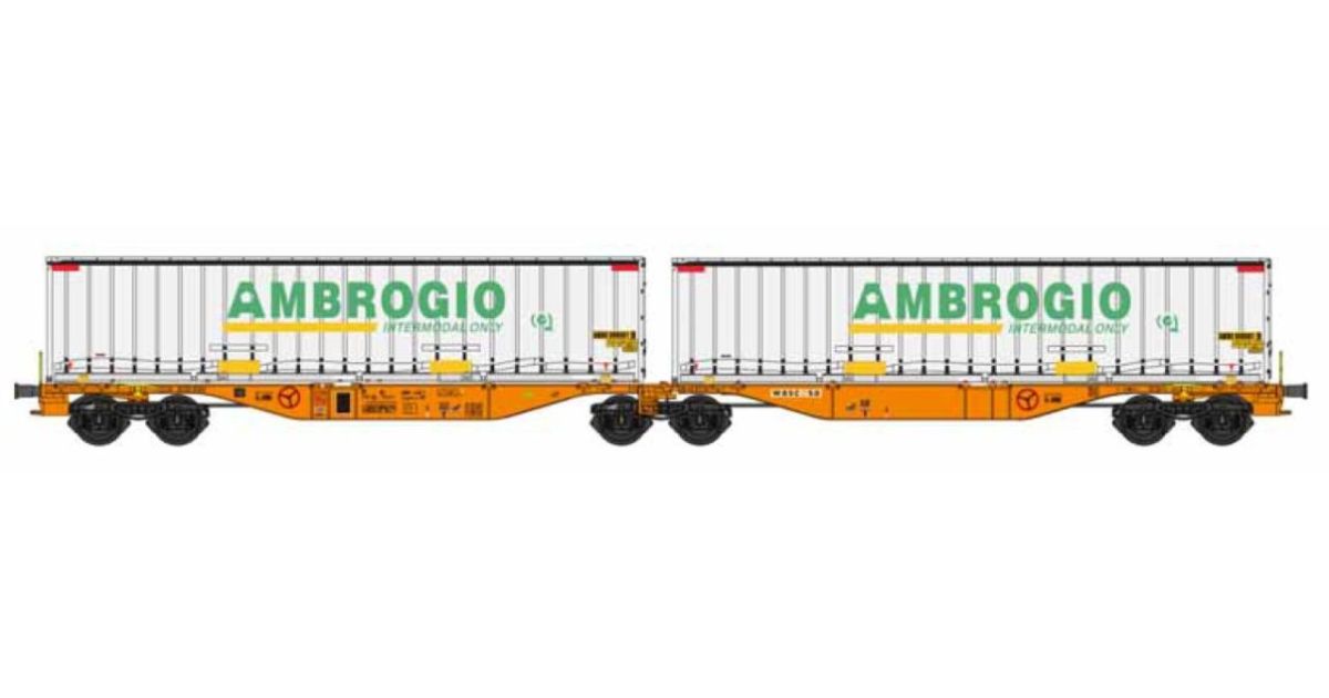 B-models 59.310 Sggmrs CH-WASCO ikerkocsi + 2x 45 lábas Ambrogio WAB ...