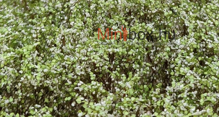 DioramaPresepe dip156558 27mm tall - 22 new tufts of grass with leaves and white flowers 50-5004 - 27mm magas cserje, bokor fehér virágokkal 22db