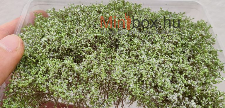 DioramaPresepe dip156558 27mm tall - 22 new tufts of grass with leaves and white flowers 50-5004 - 27mm magas cserje, bokor fehér virágokkal 22db