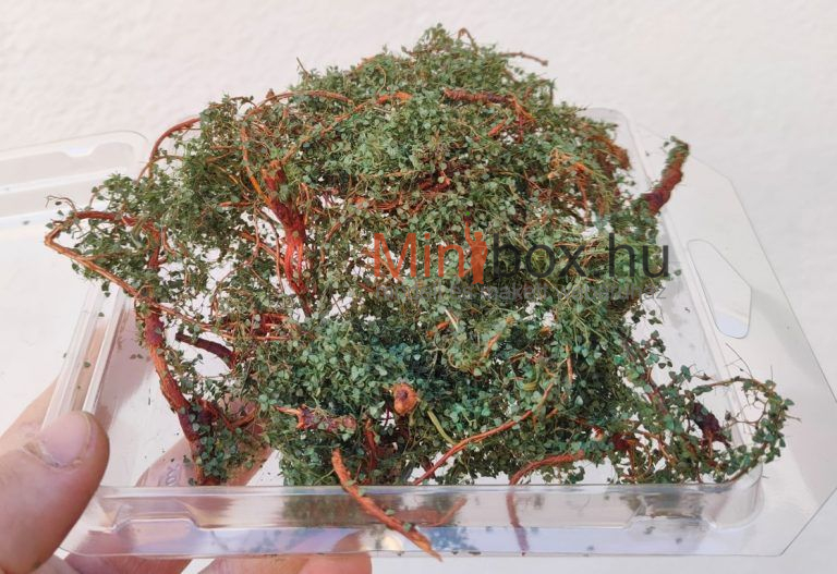 DioramaPresepe dip38308 CYBER Zarok – wild bush or wild green creeper DIY kit - zöld kúszónövény, bokor építőkészlet KIT DioramaPresepe dip38308 CYBER Zarok – wild bush or wild green creeper DIY kit - zöld kúszónövény, bokor építőkészlet KIT