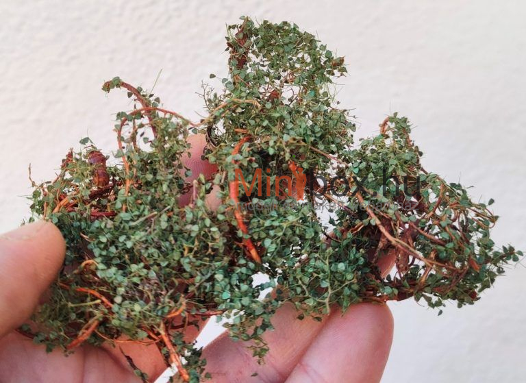 DioramaPresepe dip38308 CYBER Zarok – wild bush or wild green creeper DIY kit - zöld kúszónövény, bokor építőkészlet KIT DioramaPresepe dip38308 CYBER Zarok – wild bush or wild green creeper DIY kit - zöld kúszónövény, bokor építőkészlet KIT
