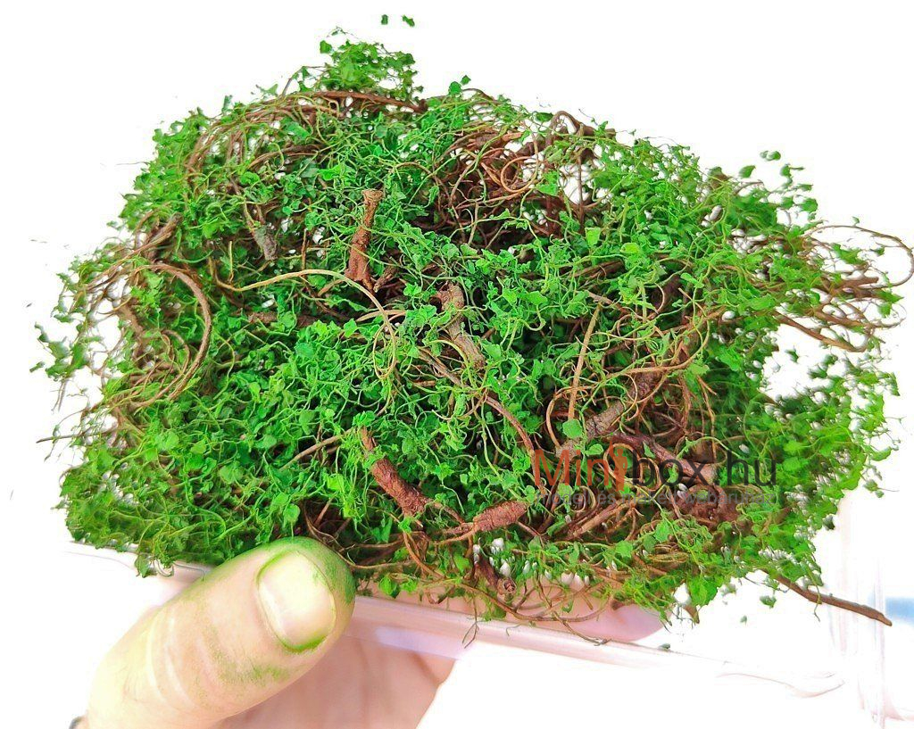 DioramaPresepe dip219370 Zarok – light green ready-to-use wild bush or climber - világoszöld kúszónövény, bokor DioramaPresepe dip219370 Zarok – light green ready-to-use wild bush or climber - világoszöld kúszónövény, bokor
