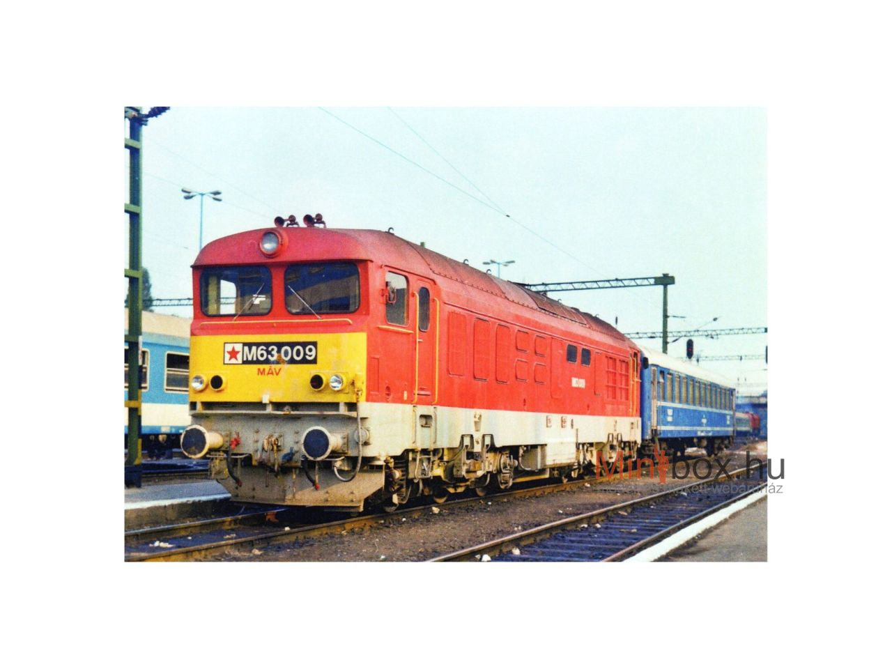 Stil Nuovo Olajszagban sorozat - M63 009 Gyík a Déliben képeslap (15x10)